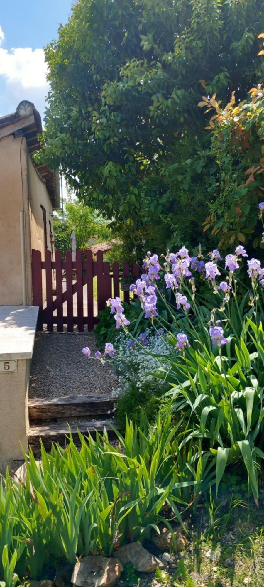 La Maison Du Tourniquet Aubeterre-sur-Dronne Ngoại thất bức ảnh